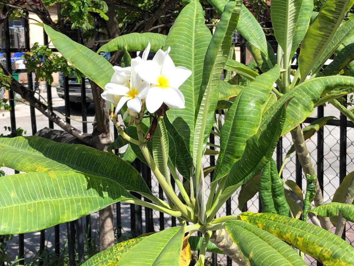 Cozy Room In The Heart Of Little Havana 마이애미 외부 사진