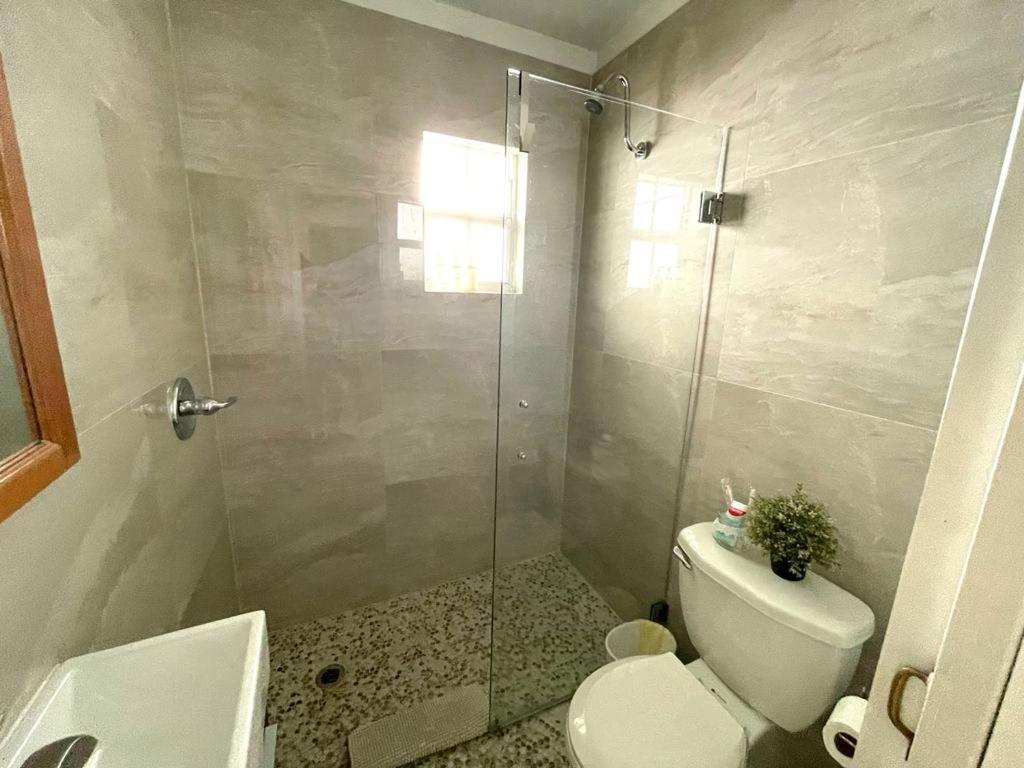 Cozy Room In The Heart Of Little Havana 마이애미 외부 사진